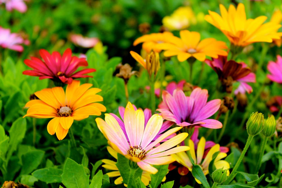 Welche Möglichkeiten gibt es für eine nachhaltige Gartengestaltung