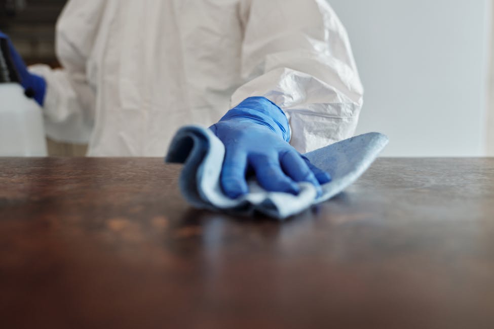 Welche Putzmittel eignen sich zur Entfernung von Fettflecken in der Küche