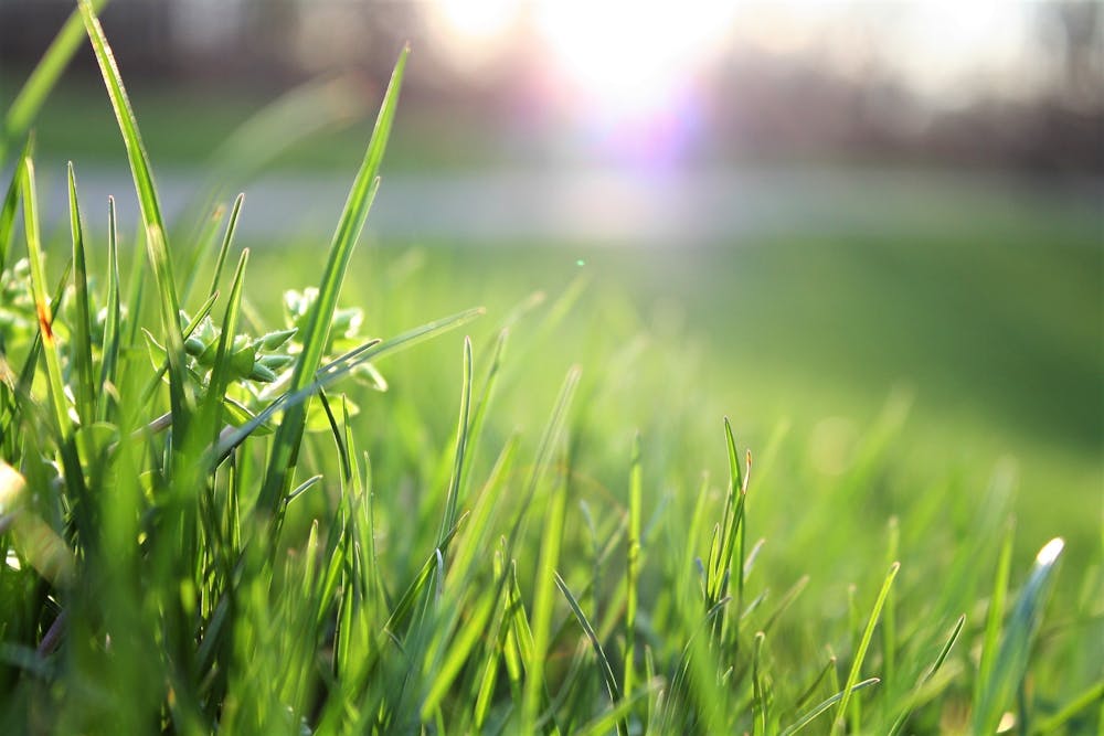 Wie gestalte ich einen kleinen Garten optimal