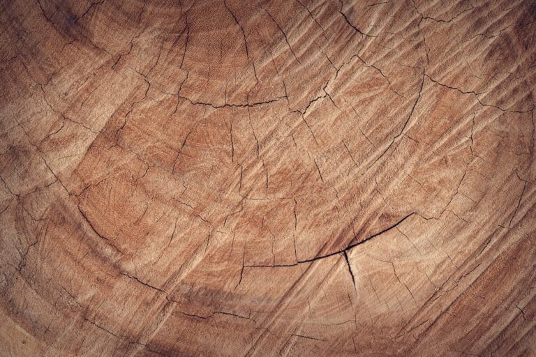 Wie entferne ich Wachsflecken von Holzböden