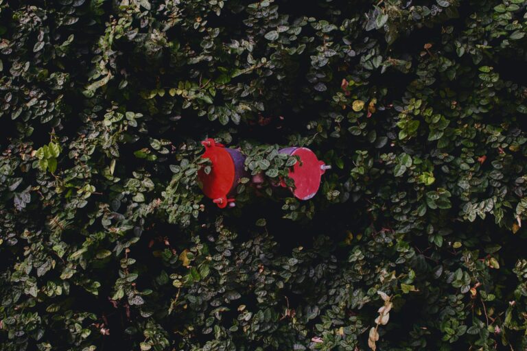 Was tun, wenn der Wasserhahn im Garten leckt?