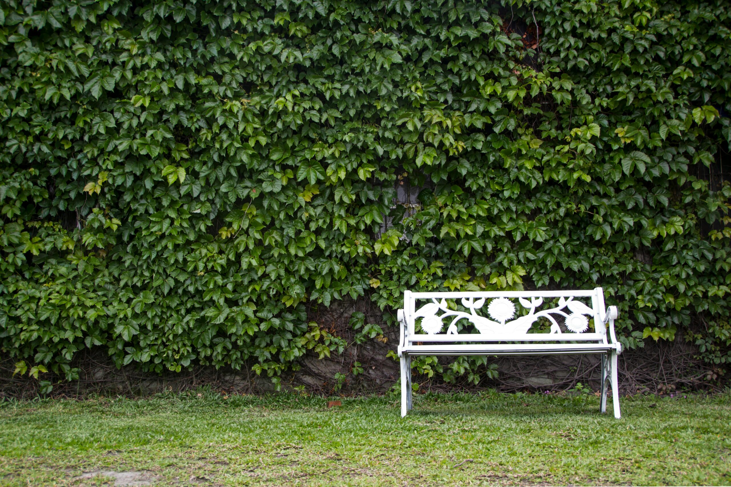 Welche Schritte sind notwendig, um eine Kunststoff-Gartenbank zu reinigen?