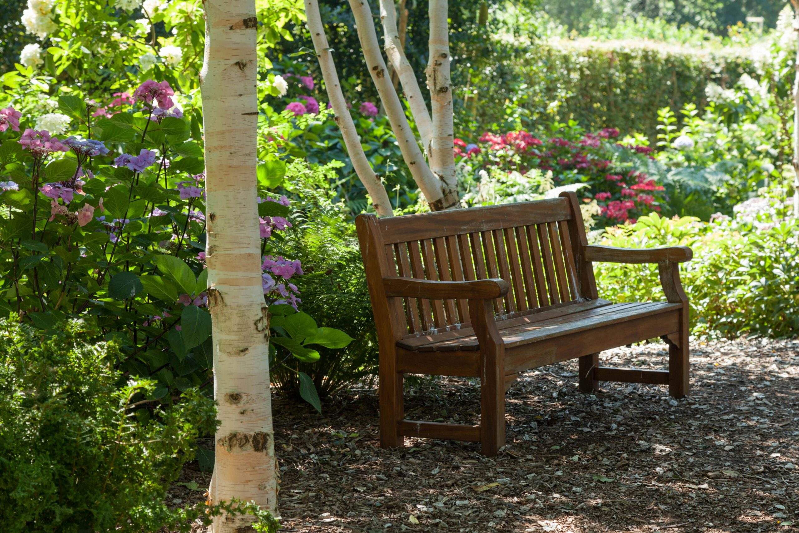 Wie repariere ich eine beschädigte Gartenbank aus Holz?