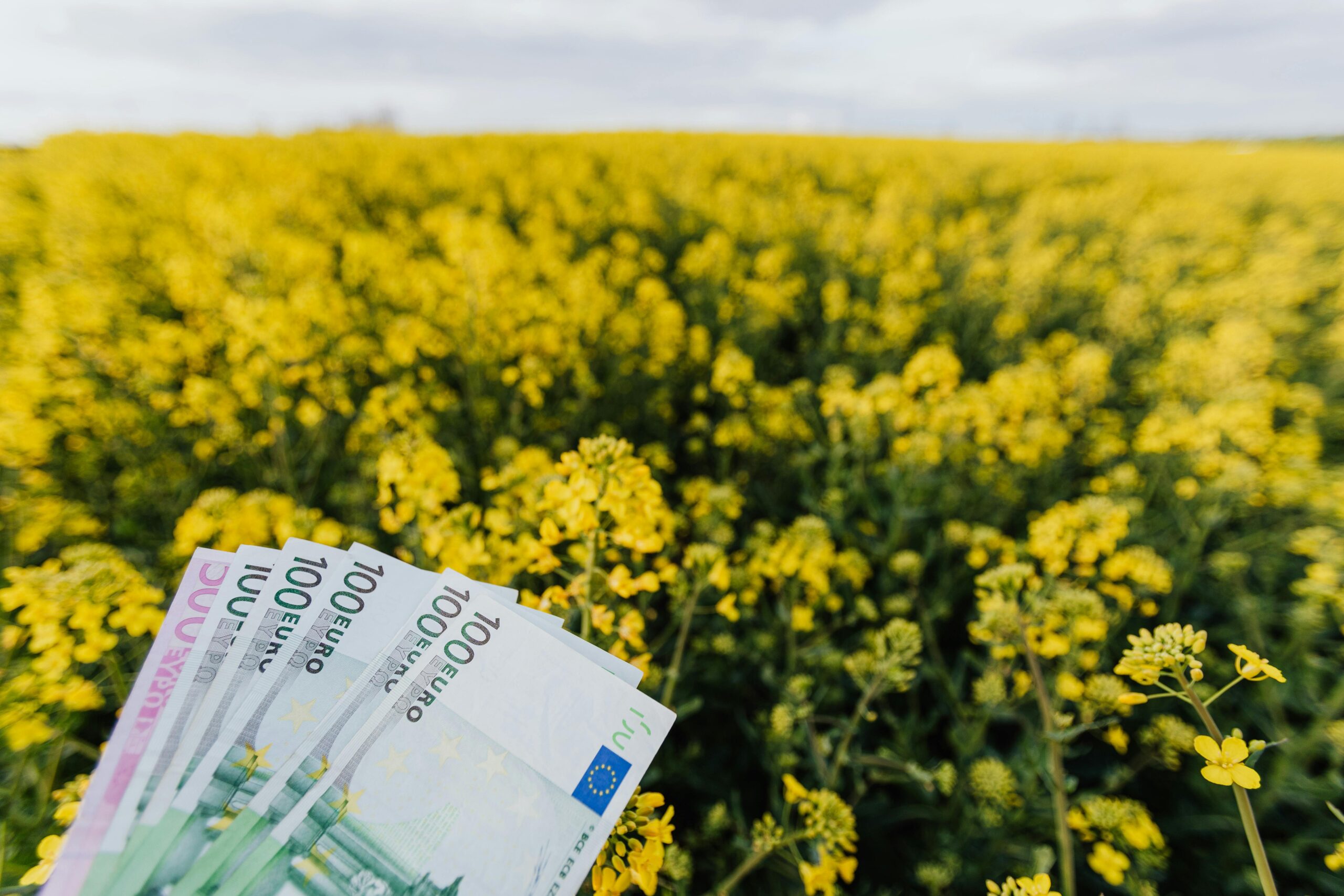 Was kostet ein Grundstück pro Quadratmeter in meiner Region?