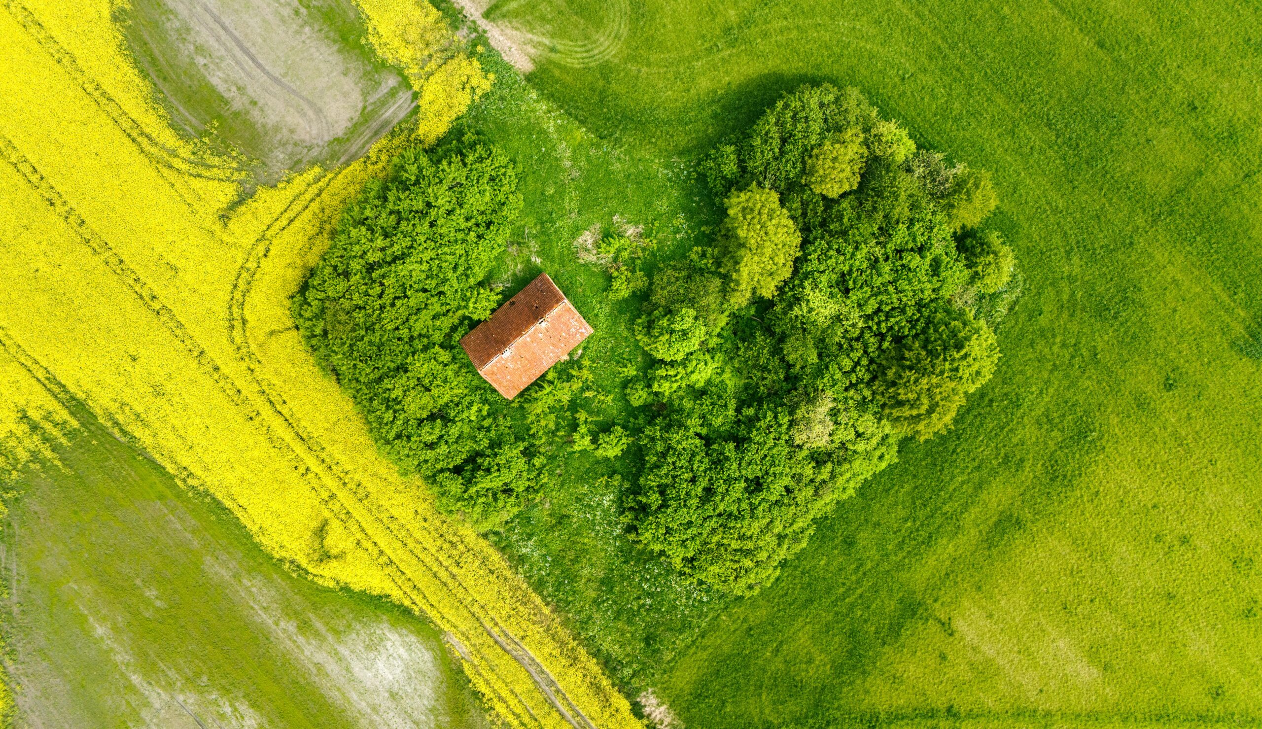 Welche nachhaltigen Baustoffe gibt es für den Hausbau?