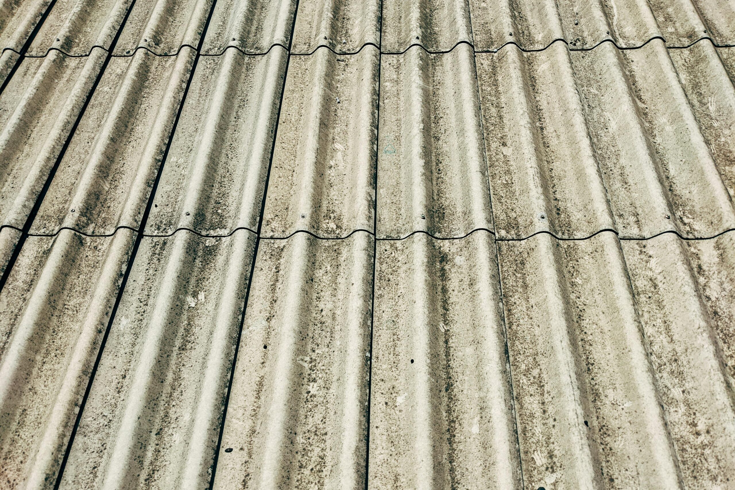pexels markus winkler 1430818 13548818 scaled