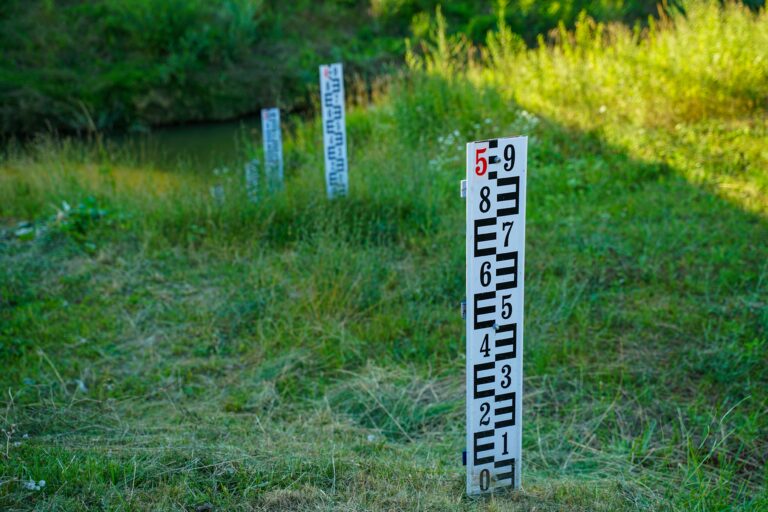 pexels vladimirsrajber 12751762