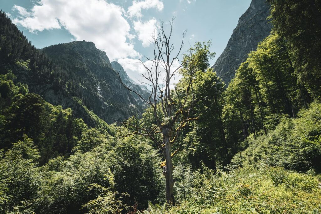 Welche Wandfarben machen kleine Räume größer?