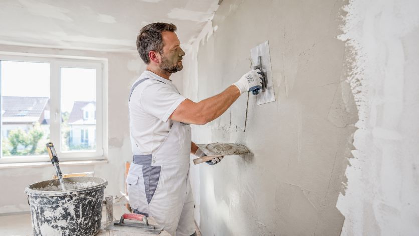 Sichtschutz zum Nachbarn: Welche Lösung am wenigsten Ärger macht