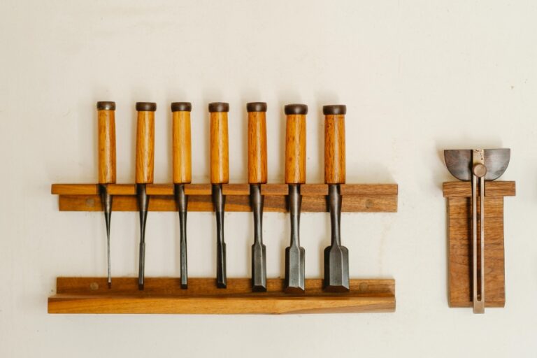 Welche Baumarten eignen sich am besten als Windschutz für große Grundstücke?